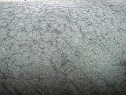 seite_10ajpg