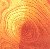 holzjpg