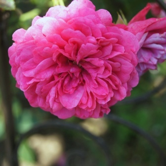 DSC01669webJPG