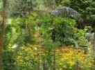 DSC01455webPavillionHochbeet1JPG