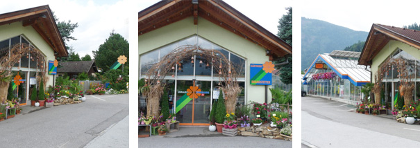 blumen_brandstetter_homejpg