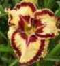 ledgewoodsbornfree_grjpg
